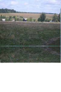 Наше село, фото 12 из 18