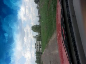 фото бересток, фото 2 из 4