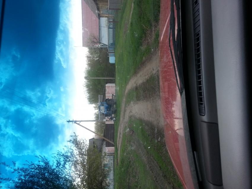 фото бересток