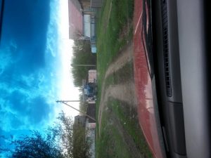 фото бересток, фото 1 из 4