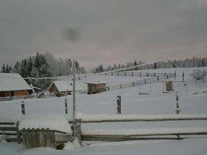 ЗИМА 2016 год, фото 3 из 3