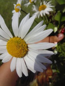 Природа Юголока, фото 1 из 7