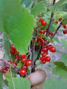 Природа Юголока, фото 2 из 7