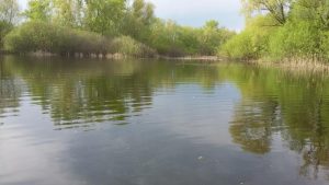 Это наше село, фото 2 из 6