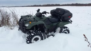 Наша жизнь, фото 2 из 4