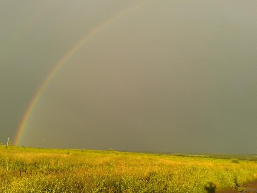 второй лог