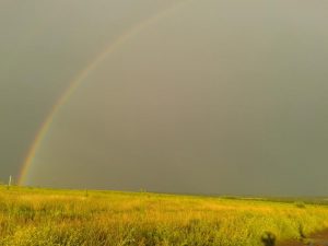 второй лог, фото 1 из 6