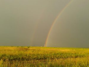 второй лог, фото 3 из 6