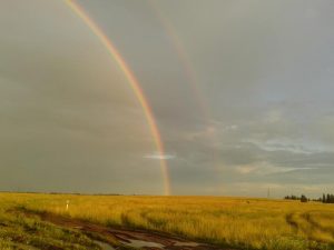 второй лог, фото 4 из 6