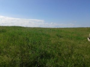 ИСТОРИЯ В ЛИЦАХ, фото 3 из 10