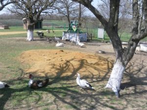 ИСТОРИЯ В ЛИЦАХ, фото 2 из 10