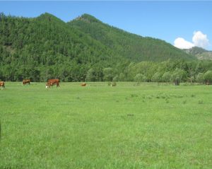 Красоты Закамны, фото 2 из 4