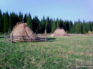 с. Лазурка, фото 3 из 3