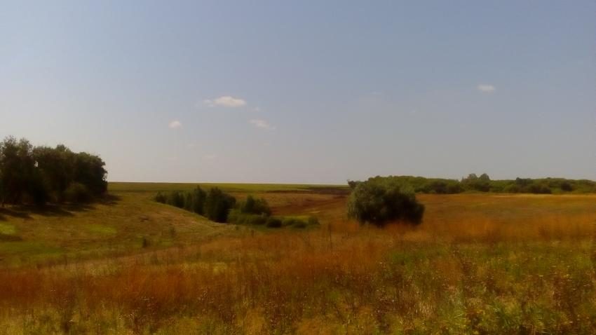 Прошлое лето