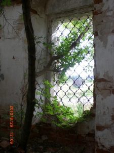 Природа села, фото 4 из 11