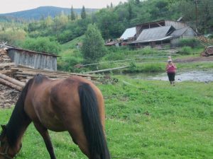 Природа с.Верх-Слюдянки, фото 39 из 44
