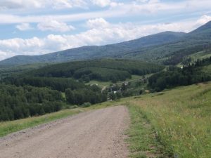 Природа с.Верх-Слюдянки, фото 30 из 44