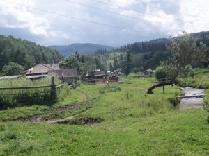 Природа с.Верх-Слюдянки, фото 35 из 44