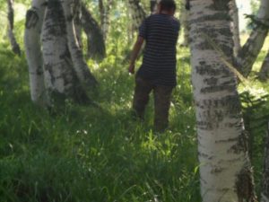 Природа с.Верх-Слюдянки, фото 41 из 44