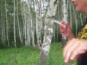Природа с.Верх-Слюдянки, фото 22 из 44