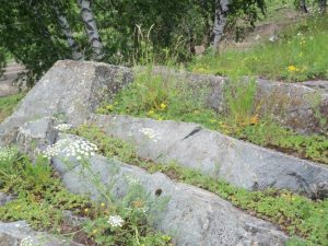 Природа с.Верх-Слюдянки, фото 7 из 44