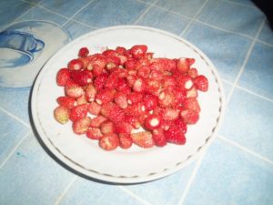 Природа с.Верх-Слюдянки, фото 32 из 44