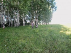 Природа с.Верх-Слюдянки, фото 42 из 44
