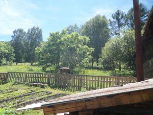 Природа с.Верх-Слюдянки, фото 26 из 44
