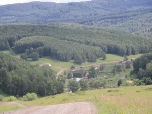 Природа с.Верх-Слюдянки, фото 29 из 44