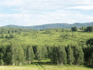 Природа с.Верх-Слюдянки, фото 43 из 44