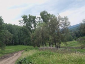 Природа с.Верх-Слюдянки, фото 3 из 44