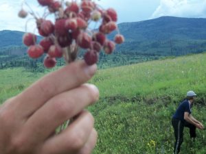 Природа с.Верх-Слюдянки, фото 27 из 44