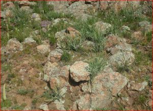 Урочище "Увалы", фото 4 из 6