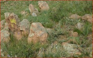 Урочище "Увалы", фото 5 из 6