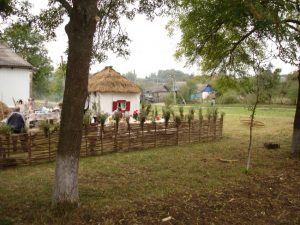 Экспедиция в станицу, фото 6 из 6