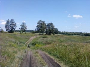 Водоем  в Кондрашкино.. Всторону Большой платины., фото 10 из 10