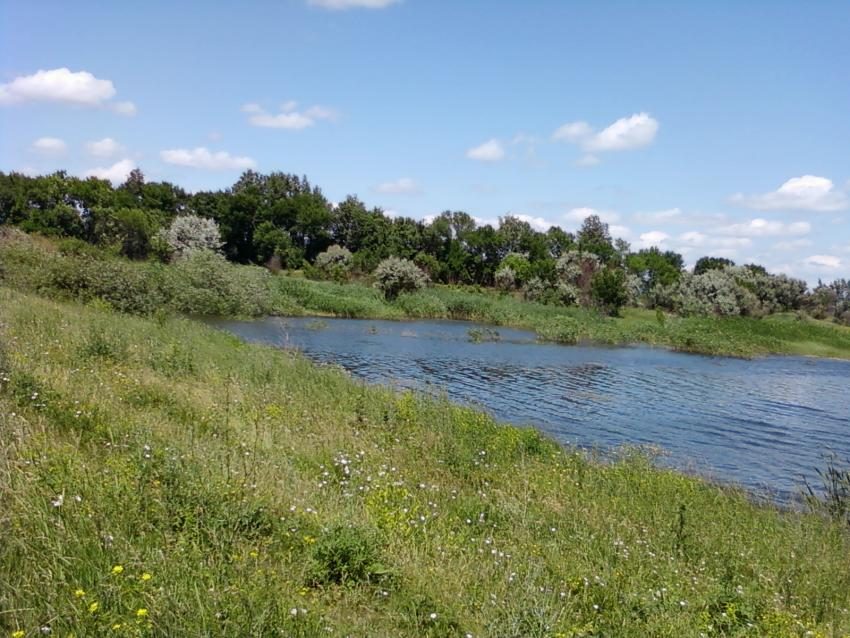 Водоем  в Кондрашкино.. Всторону Большой платины.