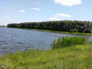 Водоем  в Кондрашкино.. Всторону Большой платины., фото 4 из 10