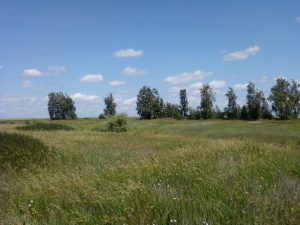 Водоем  в Кондрашкино.. Всторону Большой платины., фото 8 из 10