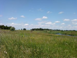 Водоем  в Кондрашкино.. Всторону Большой платины., фото 6 из 10