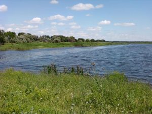 Водоем  в Кондрашкино.. Всторону Большой платины., фото 2 из 10