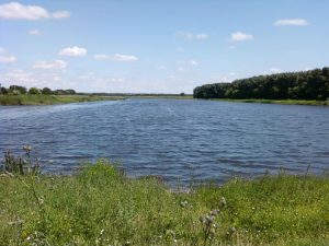 Водоем  в Кондрашкино.. Всторону Большой платины., фото 3 из 10