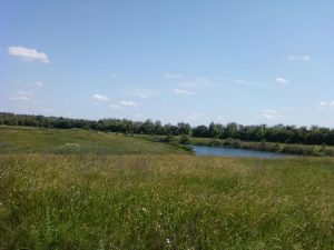 Водоем  в Кондрашкино.. Всторону Большой платины., фото 9 из 10
