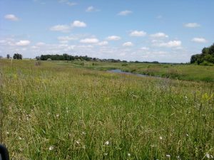 Водоем  в Кондрашкино.. Всторону Большой платины., фото 7 из 10