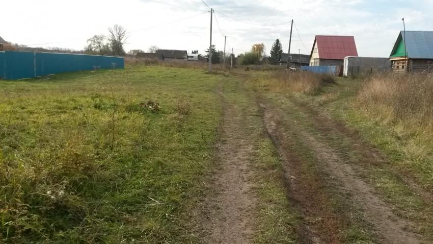 Осень 2017 год.