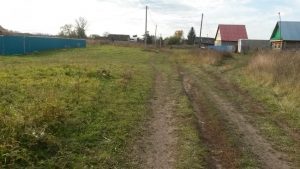 Осень 2017 год., фото 1 из 4