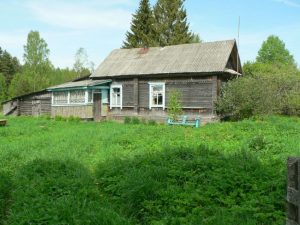 д. Трамбицкие, фото 4 из 5