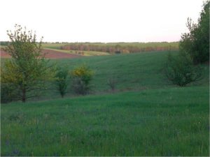 Виды села Клименки, фото 20 из 23