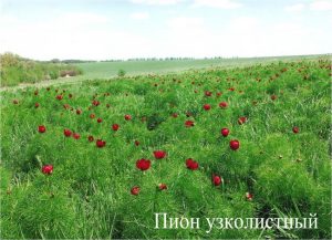 Виды села Клименки, фото 16 из 23