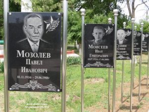 Верхнегнутов 23 мая 2018, фото 30 из 60